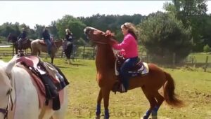 People and Horses Fails