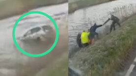 Hero Truck Driver Saves Motorist from FREEZING RIVER