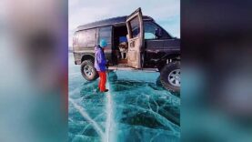 A dog hesitates to jump on the ice – Lake Baika – Siberia