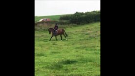 Ce cycliste aurait du regarder devant lui… Bim la voiture