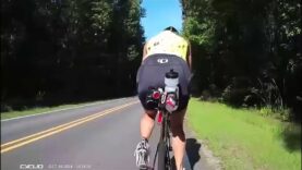 Des cyclistes très chanceux alors qu’ils croisent un cerf et une voiture