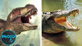 Top 10 Animals That Survived What Dinosaurs Couldn’t