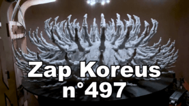 Zap Koreus n°494