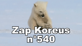 Zap Koreus n°540