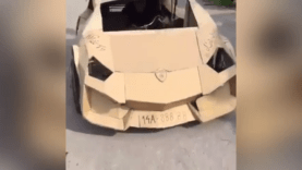 A man made his Lamborghini out of cardboard