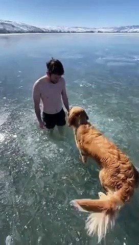 He almost gets stuck under the ice of a lake while swimming!