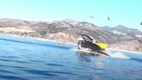 Shocking Video: A whale swallows two women in a kayak in California