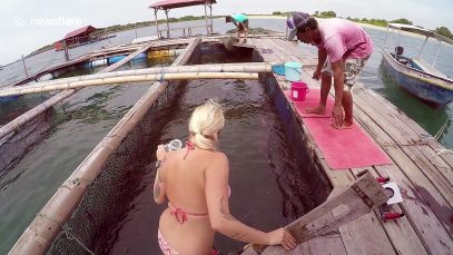 Brave woman goes snorkelling with dozens of sharks