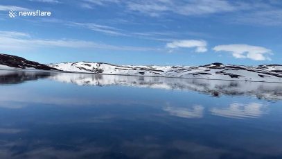 SOUND ON: Flock of loons heard singing at peaceful Icelandic fjord